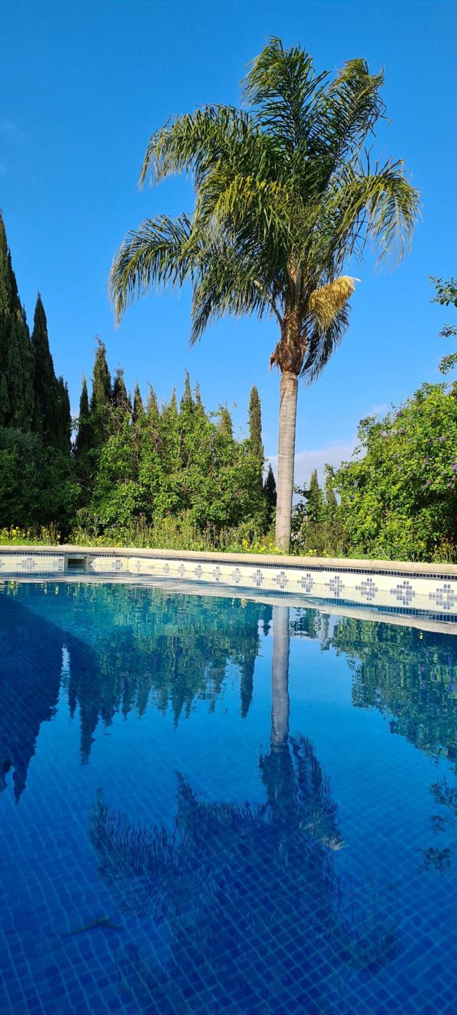 La Alqueria Holiday home